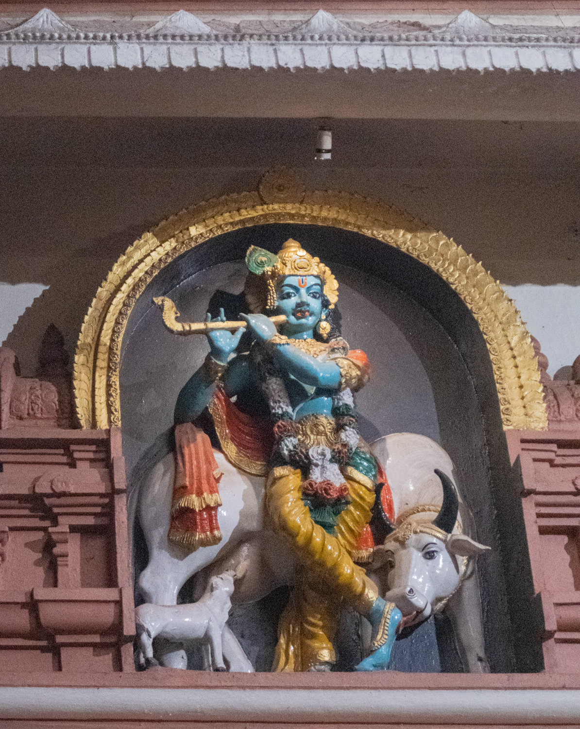 . Udupi Krishna